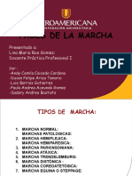 Fases de La Marcha