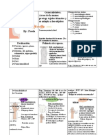 Fichas para Ortesis