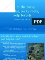 Life in The Rocky Subtidal, Rocky Reefs, Kelp Forests: Jake Schiferl and Jessie Cartwright