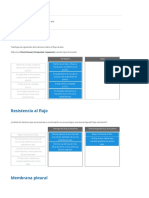 Anatomía Pulmonar y Flujo de Aire Report