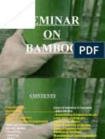 Bamboo