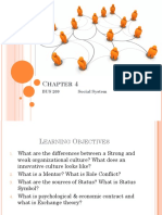 4ch OB Bus 209 Social System and Org Culture Chapter