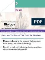 10 Photosynthesis