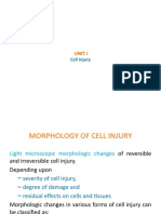 4 I Morpho - Reversible Cell Injury