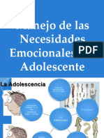 Manejo Necesidades Emocionales Adolescentes