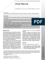 Thetrigeminalnerve Injury: Arshad Kaleem,, Paul Amailuk,, Hisham Hatoum,, Ramzey Tursun