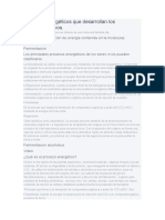 Procesos Energéticos Que Desarrollan Los Organismos Vivos