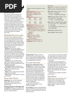 D&D5e - Half-Orc Paladin