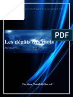 Les Degats Des Mots