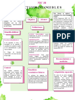 Mapa - Conceptual Nic 38