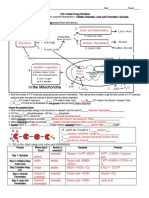 Unit 5 Cellular Energy Worksheet With Answers