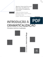 GRAMATICALIZACAO