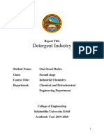 Detergent Industry Report - Onel Israel