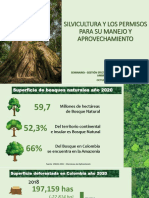 Silvicultura y Los Permisos