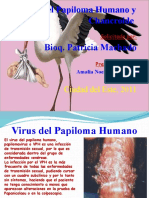 Virus Del Papiloma Humano y