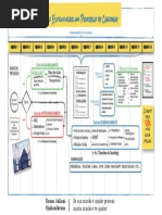 Estrutura Processo de Coaching Horizontal Corrigido