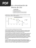 5 - Bienes de Uso