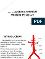 Anatomie - VASCULARISATION DU MEMBRE INFERIEUR