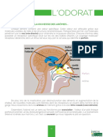 Livret Odorat IREPSPDL
