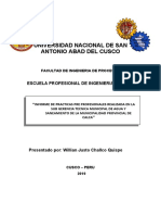 Informe Practicas Pre Calca