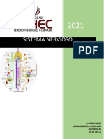 Sistema Nervioso Cuestionario 1