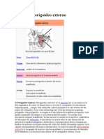 Músculo Pterigoídeo Externo