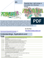 8.3 Photosynthesis AHL