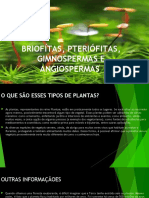 Briofítas, Pteriófitas, Gimnospermas e Angiospermas