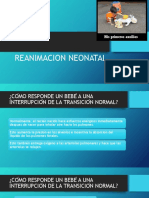 Reanimacion Cardiopulmonar