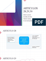 Articulos 28,29,30