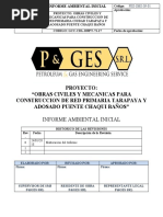 Informe Ambiental Inicial Red Gas