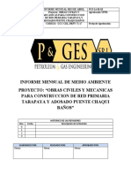 Informe Ambiental 