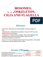 CELL-THE UNIT OF LIFE-Ribosomes, Cytoskeleton