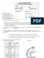 Teste CN5ano Microscópio - Celula - Classificacao - 2010-11alterado - Nee