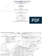 Mapa Conceptual Auditoria