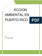 Proteccion Ambiental en PR