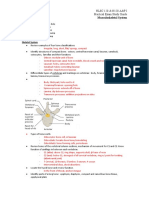 A&P 1 Lab Exam 2 Review Guide