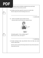 Pentaksiran Sains Tahun 4, Kertas 2