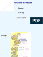 1st Yr 2007 Redox