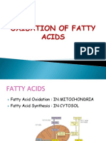 Mu 1.2 - Oxidation of Lipid 2021