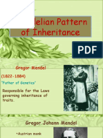 Ex3.a.mendelian Pattern of Inheritance