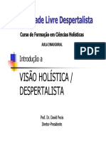 Aula de Introdução À Visão Holística - Despertalista