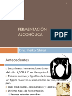 Fermentación Alcohólica