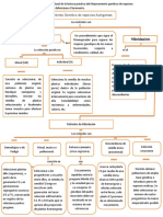 Mejoramiento Genético de Especies Autógamas - Grupo 6