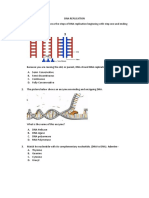 Dna Replication