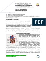 Práctica de Laboratorio Sistema Circulatorio 1