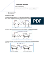 Carbohydrate Metabolism: Glycolysis (Embden-Meyerhof-Parnas Pathway)