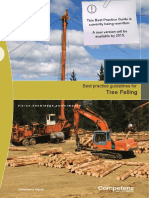 Tree Felling: Best Practice Guidelines For