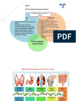 6 Enfermedades Autoinmunes Órgano Específicas