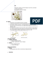 Morphology of Moulds/ Molds A. Thallus